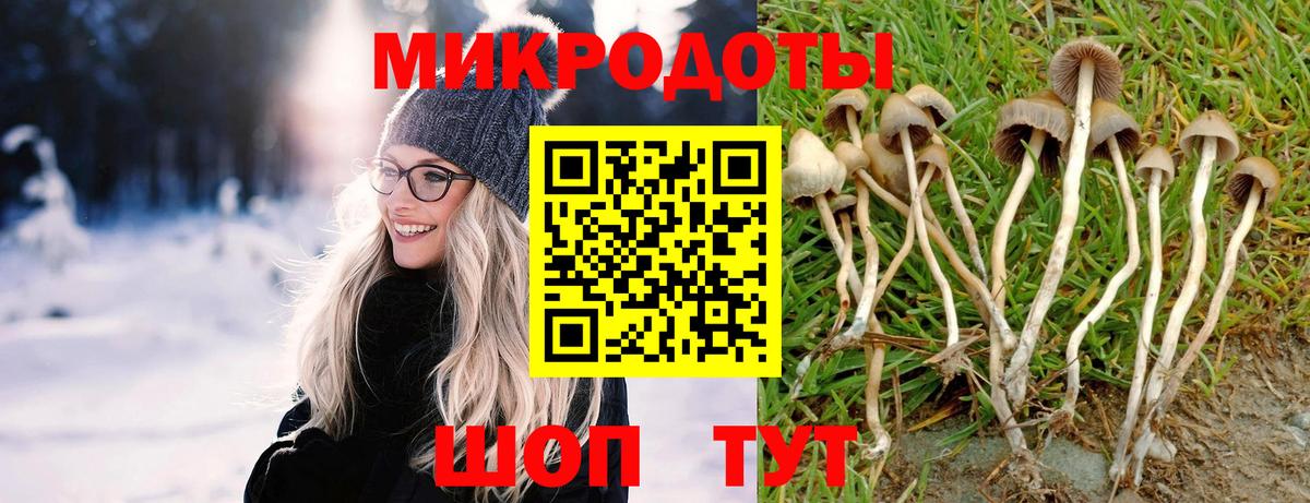 Галлюциногенные грибы Psilocybe  Вход с VPN  Шелехов 